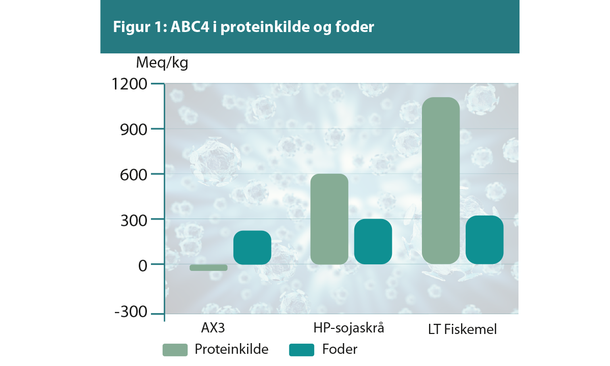 Proteinkilder og foder