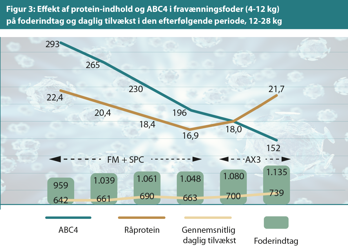Effekt af proteinindhold